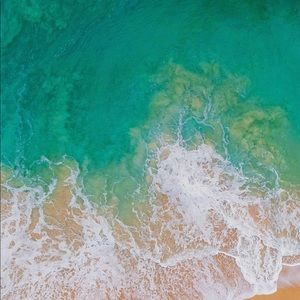 Meet your Posher, Melony